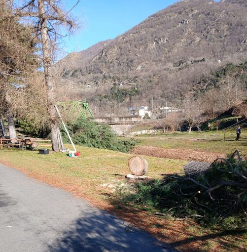 Vogogna, tagliate alcune piante pericolanti