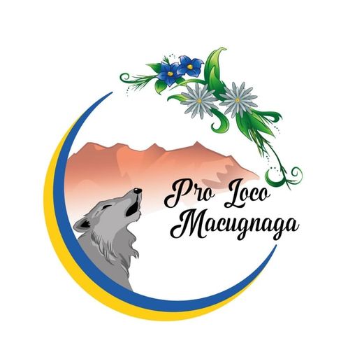 Pro Loco Macugnaga, assegnati i fondi per l'alluvione di giugno 2024 Pro Loco Macugnaga, assegnati i fondi per l'alluvione di giugno 2024