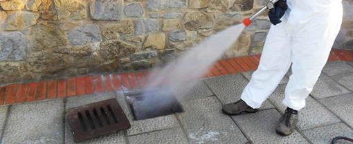 Disinfestazioni Blatte Disinfestazioni Blatte