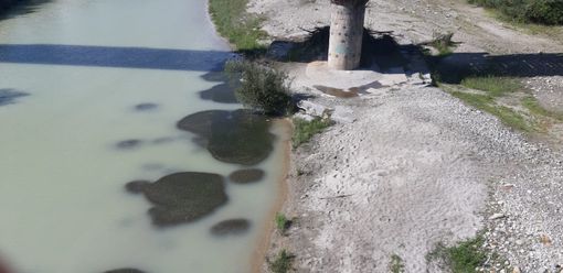 Il caldo dei giorni scorsi fa affiorare le alghe nel Toce Il caldo dei giorni scorsi fa affiorare le alghe nel Toce