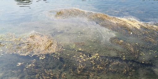 Siccità: necessario gestire razionalmente le risorse idriche Siccità: necessario gestire razionalmente le risorse idriche