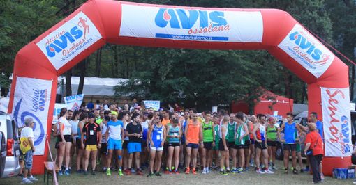 Quindicesima edizione del trofeo del donatore AVIS: una corsa per la solidarietà