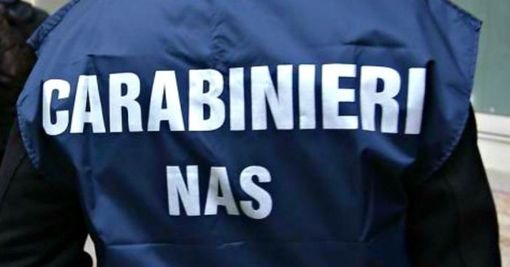 Lavoratore in nero in un ristorante, locale chiuso e multa da oltre 12mila euro