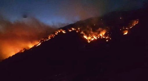 Rogo di Gambarogno: fermati due giovani per incendio colposo