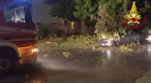 Oltre 30 richieste d'intervento ai vigili del fuoco per il maltempo delle scorse ore