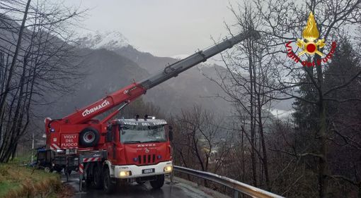 Asina gravida cade in un torrente, salvata con l'autogru dei Vigili del fuoco