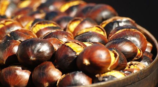 I Giovani Musicisti Ossolani alla Castagnata di Pallanzeno