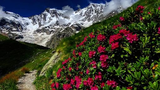 Breve ondata di caldo intenso alle porte ma calo termico a inizio settimana