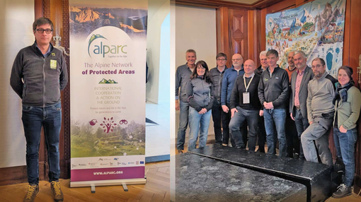 Luigi Spadone nominato consigliere di Alparc: un nuovo capitolo per il Parco Nazionale della Val Grande Luigi Spadone nominato consigliere di Alparc: un nuovo capitolo per il Parco Nazionale della Val Grande
