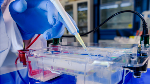 In Piemonte occupato da pazienti Covid meno dell'1% dei posti letto ordinari