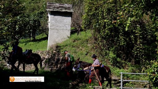 Una serata culturale sulla Strada Antronesca