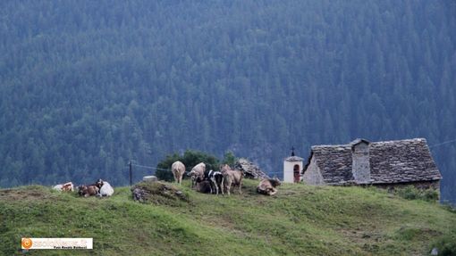 ''Salvaguardare i nostri territori non vuol dire porre vincoli e basta''