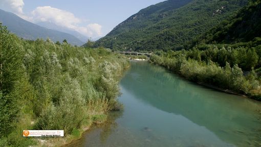 Approvato il programma per la manutenzione dei corsi d'acqua: previsti 5 interventi nel Vco Approvato il programma per la manutenzione dei corsi d'acqua: previsti 5 interventi nel Vco