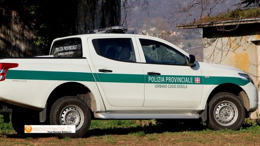 La Provincia ha due nuove guardie La Provincia ha due nuove guardie