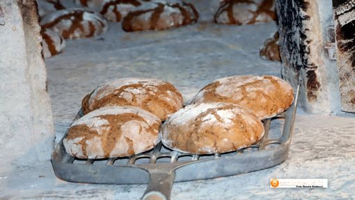 Alla scoperta dei segreti della panificazione al forno di Progno