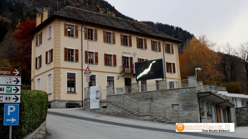 Anche Premia delibera contro la presenza di lupi e orsi sul territorio comunale Anche Premia delibera contro la presenza di lupi e orsi sul territorio comunale
