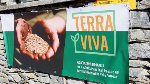 L'associazione Terra Viva punta a produrre succo di mele
