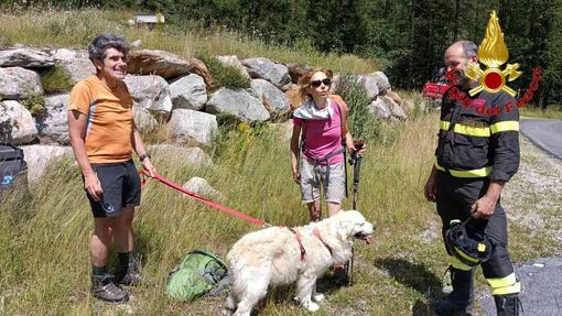 Sfugge ai padroni e precipita in un rio a Macugnaga, golden retriver recuperato dall'elicottero dei Vigili del fuoco
