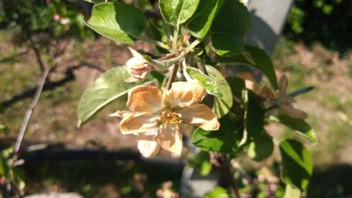 ''Danni ingenti, serve lo stato di calamità e un sostegno per le imprese" ''Danni ingenti, serve lo stato di calamità e un sostegno per le imprese"