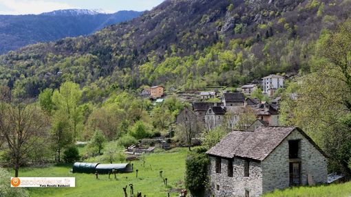 "Muoversi insieme": una camminata benefica per sostenere Lilt "Muoversi insieme": una camminata benefica per sostenere Lilt