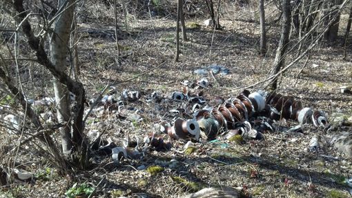 Ambiente, sabato 18 aprile è la giornata 'Plastic Free'