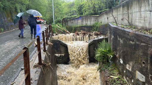 Piemonte, al via la digitalizzazione delle domande per i danni da calamità naturali con la piattaforma Moon