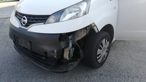 Cervo investito a Bieno, nell'incidente coinvolti un'auto e un furgone