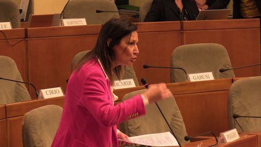 Allontanamento Zero, dalle opposizioni 600 emendamenti. Caucino: &quot;Ho promesso ai bimbi di farli tornare a casa&quot;