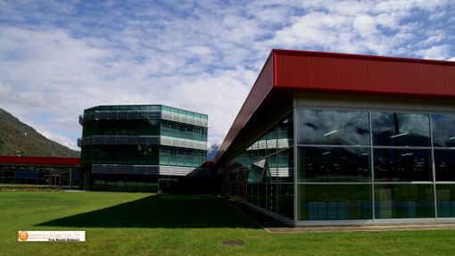 Il Giappone punto di forza per il mercato della Manifattura di Domodossola Il Giappone punto di forza per il mercato della Manifattura di Domodossola