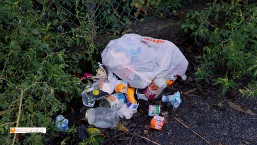 Erbacce e rifiuti abbandonati in via Valdré a Villadossola
