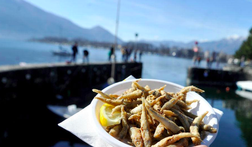 Sagra del pesce domenica a Muralto Sagra del pesce domenica a Muralto