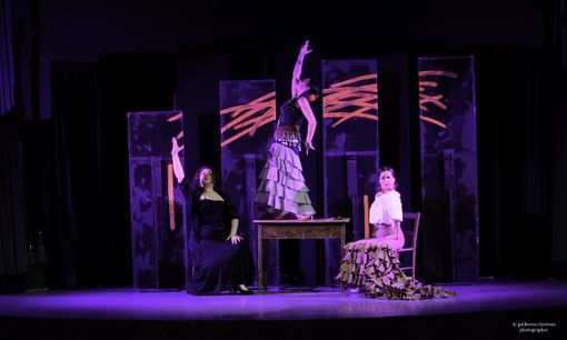 Presentata la nuova edizione del festival teatrale "Terra e Laghi"