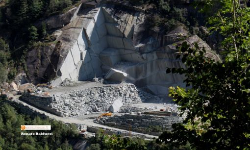 Assograniti in campo per salvaguardare la beola del Vco