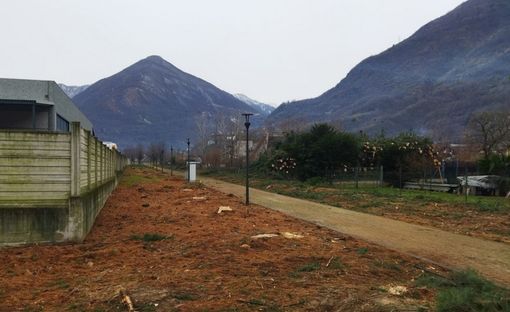 Tagliati gli alberi lungo la ciclabile al Villaggio Tagliati gli alberi lungo la ciclabile al Villaggio