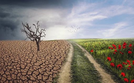 Cambiamento climatico, a fine aprile un bando della Regione da 12 milioni e mezzo di euro