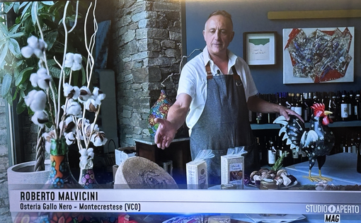 I sapori del Gallo Nero dei fratelli Malvicini a Studio Aperto Mag FOTO E VIDEO I sapori del Gallo Nero dei fratelli Malvicini a Studio Aperto Mag FOTO E VIDEO
