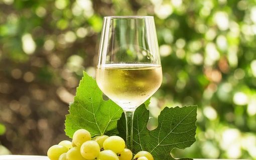 Tempo di vendemmia in Ossola: &quot;Sarà un'ottima annata&quot;