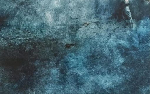 Tra fotografia e colore, con Paola Chiappini Tra fotografia e colore, con Paola Chiappini