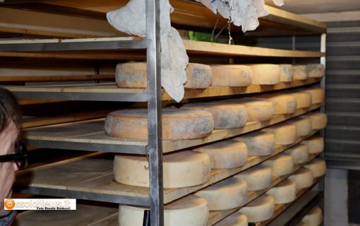 ''Fior di Prata'', come produrre formaggio a due passi dal salotto di Domodossola ''Fior di Prata'', come produrre formaggio a due passi dal salotto di Domodossola