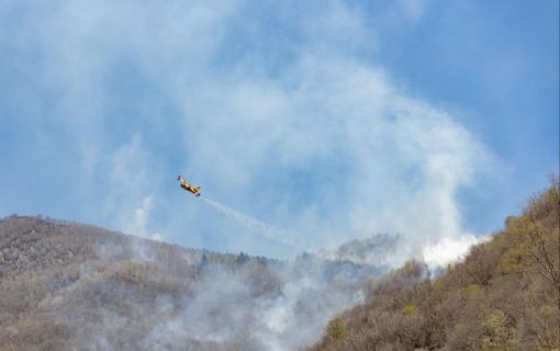Incendi boschivi, la Regione revoca lo stato di massima pericolosità Incendi boschivi, la Regione revoca lo stato di massima pericolosità