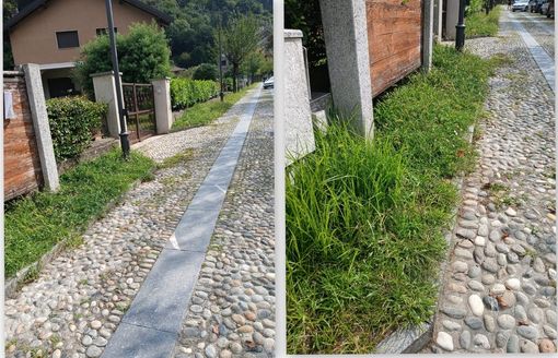 ''Erba alta a Vogogna in piena stagione turistica'' ''Erba alta a Vogogna in piena stagione turistica''