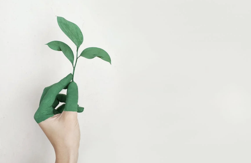 Diventa verde con i gadget ecologici per te e la tua forza lavoro / Immagine: Alena Koval / Pexels.
