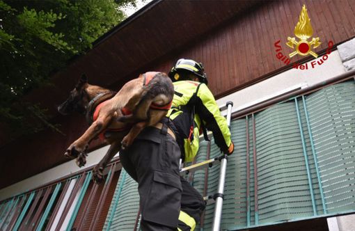 Dal Vco in Francia per un'esercitazione internazionale dei Vigili del fuoco