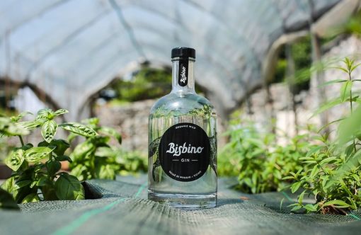 Anche il Ticino ha il suo gin: è ispirato al monte Bisbino