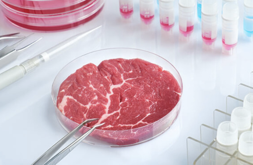 Carne sintetica sì o no? Carne sintetica sì o no?