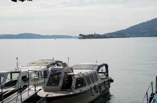 Coldiretti sull'emergenza siccità: "Attivare lo stato di emergenza in Piemonte"