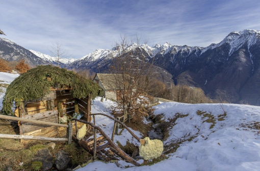 Presepi sull’acqua, continuano le visite guidate con le guide dei parchi ossolani