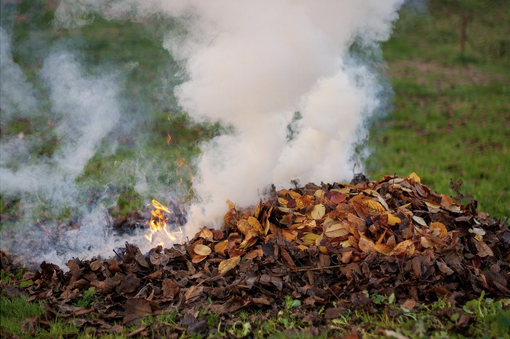 Coldiretti Piemonte: urgente introdurre il meccanismo del semaforo per la gestione degli abbruciamenti Coldiretti Piemonte: urgente introdurre il meccanismo del semaforo per la gestione degli abbruciamenti