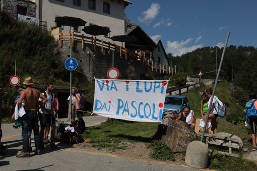 A Devero manifestanti 'no lupo' fanno saltare la presentazione di un libro per bambini che parla di lupi A Devero manifestanti 'no lupo' fanno saltare la presentazione di un libro per bambini che parla di lupi