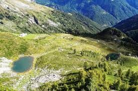 Tradizionale festa ai Laghetti di Moino organizzata dai comitati tocenesi Tradizionale festa ai Laghetti di Moino organizzata dai comitati tocenesi